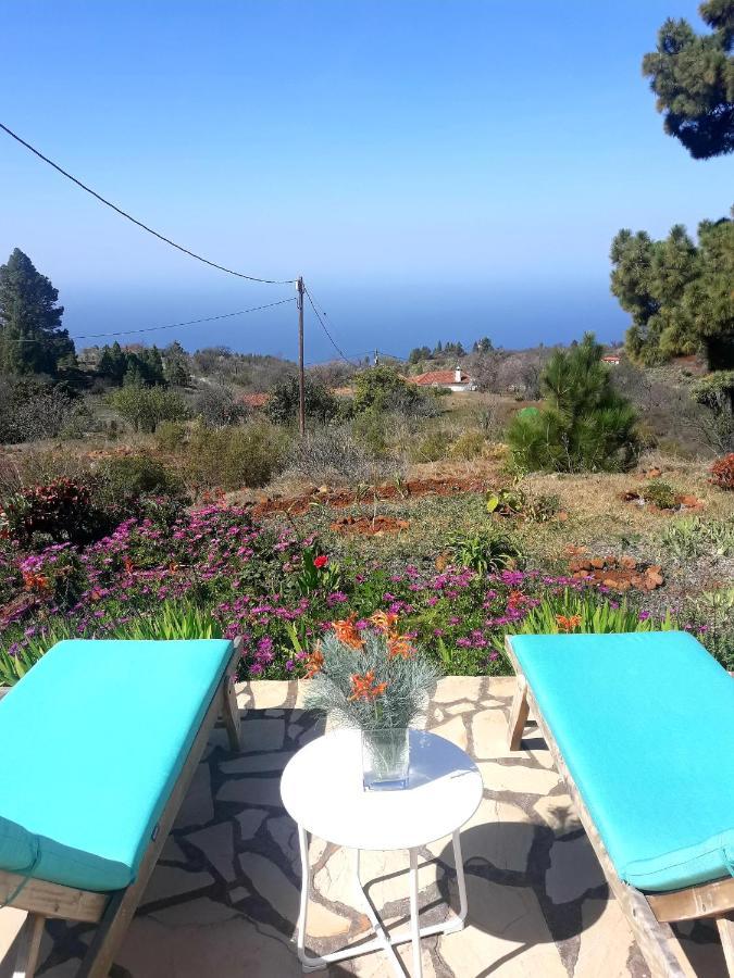 فيلا Casa Flor Azul Las Tricias المظهر الخارجي الصورة